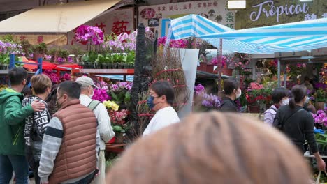 Käufer-Kaufen-Dekorative-Chinesische-Neujahrsthemenblumen-Und-Pflanzen-An-Einem-Blumenmarkt-straßenstand-Vor-Den-Chinesischen-Neujahrsfeierlichkeiten