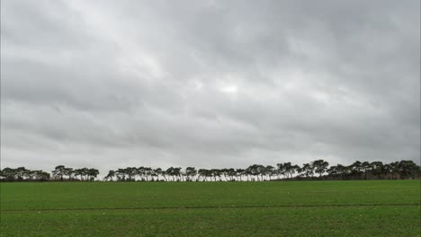 Lapso-De-Tiempo-De-Nubes-En-Movimiento-Rápido-Y-Una-Silueta-De-Línea-De-árboles,-Thetford,-Norfolk,-Inglaterra