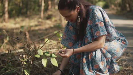 Una-Atractiva-Mujer-Caucásica-Con-Un-Vestido-Floral-De-Verano,-Agazapada-Sobre-Sus-Caderas-Mientras-Recoge-Una-Semilla-Del-Suelo-En-Un-Bosque,-India