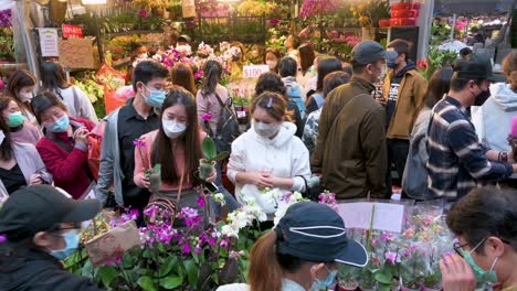 Chinese-shoppers-buy-decorative-Chinese-New-Year-theme-flowers-and-plants,-such-as-orchids,-at-a-flower-market-street-stall-ahead-of-the-Lunar-Chinese-New-Year-festivities