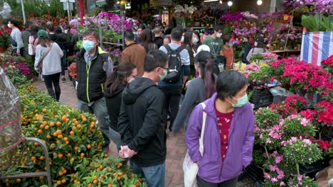 Käufer-Kaufen-Dekorative-Chinesische-Neujahrsthemenblumen-Und-Pflanzen-An-Einem-Blumenmarkt-straßenstand-Vor-Den-Chinesischen-Neujahrsfeierlichkeiten