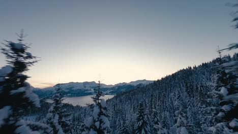 Drohnenflug-Zwischen-Verschneiten-Waldbäumen-Auf-Dem-Berg-Mit-Fjordwasser-Im-Hintergrund-Bei-Sonnenaufgang