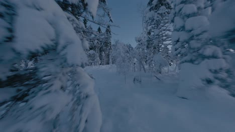 Fpv-flight-over-deep-snowy-mountain-between-conifer-trees-in-the-evening--