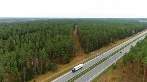 Cut-line-of-pine-tree-forest-near-highway-road,-aerial-drone-view