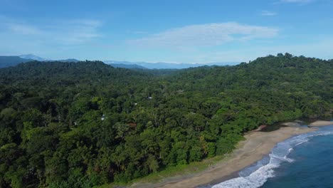 PUERTO-VIEJO,-COSTA-RICA---January-18,-2023:-aerial-drone-shot-of-the-lush-forest