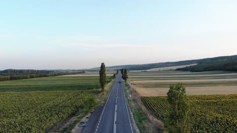 Vehicle-Traveling-On-Road-Through-Green-Fields---aerial-drone-shot