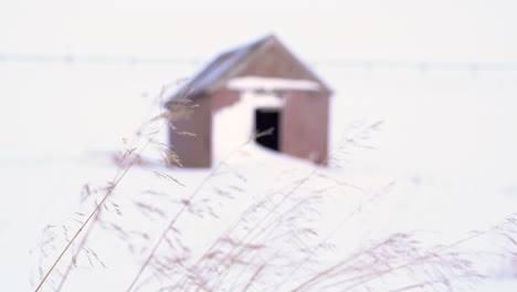 Stable-shot,-change-of-focus-from-grass-to-snowbound-cabin-in-background
