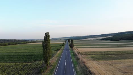 Aerial-View-Of-Car-Driving-Along-A-Rural-Road-Between-Wheat-Fields---drone-shot