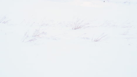 Schneebedeckte-Verlassene-Hütte-Mitten-Im-Nirgendwo,-Berghintergrund