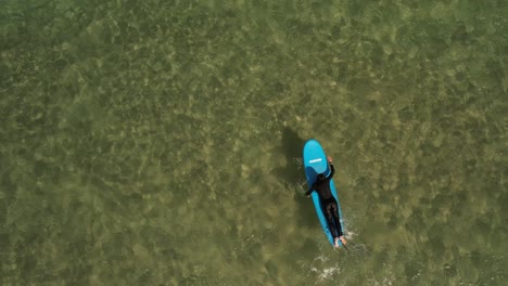 Topdown-view-female-paddling-on-blue-Longboard-on-Clear-water,-Slow-motion-shot
