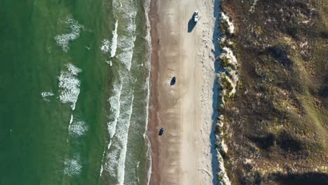Bird's-Eye-View-Over-Beach-In-Padre-Island,-Texas,-USA---aerial-drone-shot