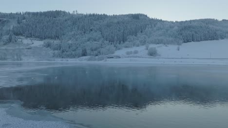 Whooper-swans-swim-on-peaceful,-frozen-river-Lake-in-Voss,-Norway