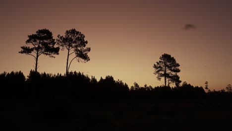 Zeitraffer-Weitwinkelaufnahme:-Silhouette-Von-Bäumen-Und-Vegetation-Bei-Sonnenuntergang-Auf-Dem-Land