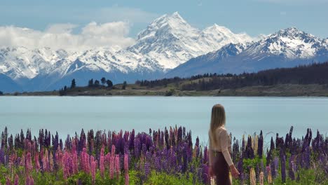 Blond-female-european-travel-stopping-at-shore-of-Lake-Pukaki-to-look-at-Mount-Cook,-lupin-flowers