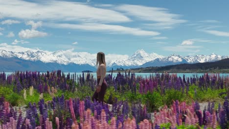 Walking-through-fairytale-scenery-with-Lupin-Flowers-at-Lake-Pukaki,-tourist-female-hiker