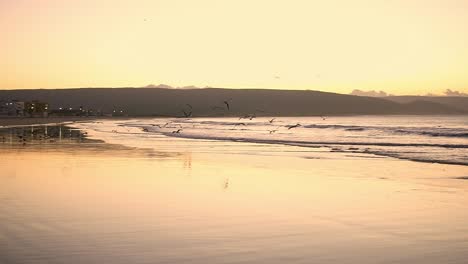 Blick-Auf-Die-Natürliche-Küste-Während-Des-Sonnenuntergangs-Und-Wildlife-Szene-Des-Fliegenden-Möwenvogels