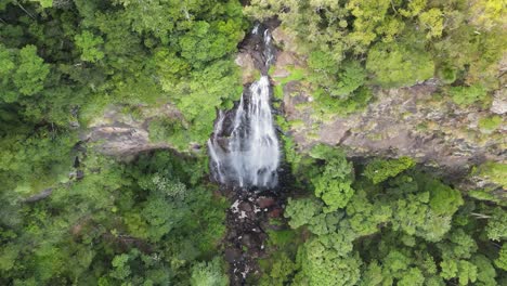 O&#39;reilly&#39;s-Wasserfall,-Der-Eine-Steile-Felsklippe-Hinabstürzt,-Umgeben-Von-üppigem-Tropischem-Regenwald