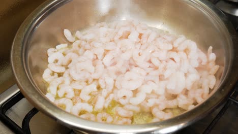 Pouring-small-fresh-shrimps-into-silver-metal-pot-for-cooking