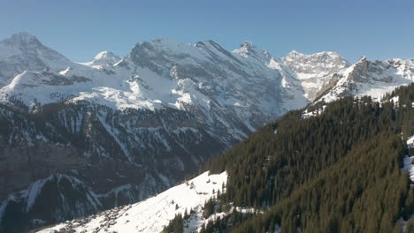 Impresionante-Antena-De-Bosque-En-La-Ladera-De-Una-Montaña-Cubierta-De-Nieve