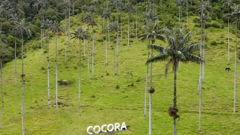 Cocora-Valley-Willkommensschild-Zwischen-Hohen-Wachspalmen
