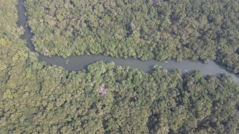 The-Sontecomapan-mangrove---Los-Tuxtlas-Biosphere-Reserve