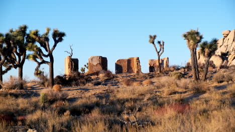 Wide-Establishing-Landscape-Shot-of-Rocky-Ruins-in-Joshua-Tree-California