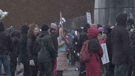 Plano-Medio-De-Manifestantes-De-Pie-Con-Banderas-Y-Pancartas-En-Una-Protesta-En-Helsinki,-Clima-Frío-Y-Nevado