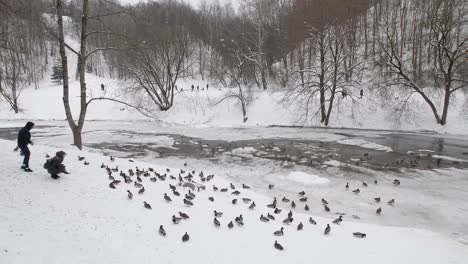 La-Gente-Alimenta-Pájaros-En-La-Orilla-Del-Río-En-El-Parque