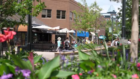 Fort-Collins-Colorado-Centro-Verano