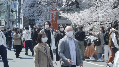 Japaner-Tragen-Gesichtsmasken,-Während-Sie-Hanami-In-Tokio-Inmitten-Des-Risikos-Einer-Coronavirus-Krankheit-Besuchen