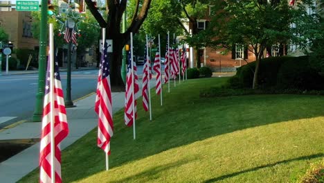 Fila-De-Banderas-Americanas-En-El-Césped-Cerca-De-La-Acera-En-Lititz-El-Día-De-La-Independencia