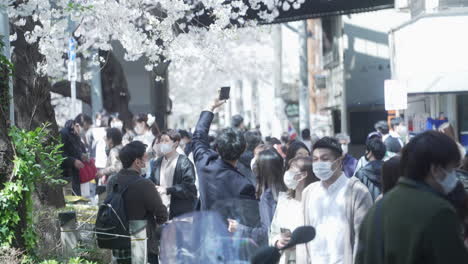 Crowd-wearing-a-mask-at-the-Meguro-River-During-Hanami-Amidst-the-Pandemic-in-Tokyo-Japan