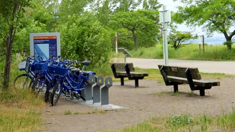 Uno-De-Los-Muchos-&quot;hamilton-Bike-Share-Inc