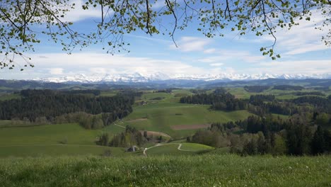 Wide-shot-of-rural-green-landscape-with-meadow-and-forest-trees-in-front-of-snowy-mountains-range