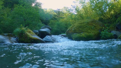 Daisen-National-Park-River,-Fresh-Water-Splashing-Over-Frame
