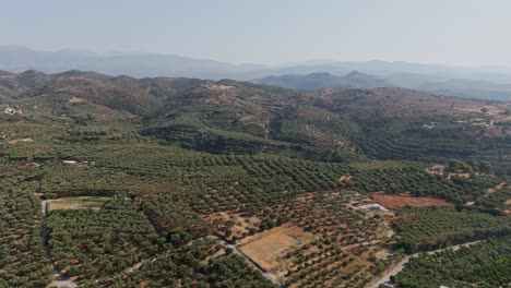 Majestic-hilly-landscape-with-vibrant-green-forest-of-Crete-island,-aerial-drone-view