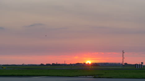 Bird-flying-above-the-sunset-sky,-above-the-tarmac-of-Schiphol-airport