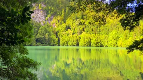 Junge-Frau,-Die-Sich-Dem-Ufer-Eines-Geheimen-Grünen-Sees-Nähert,-Der-Mitten-In-Einem-Wald-Auf-Der-Azoreninsel-São-Miguel-Versteckt-Ist