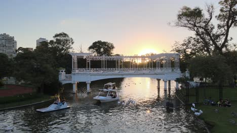 Statische-Luftaufnahme,-Die-Boote-Einfängt,-Die-Unter-Der-Weißen-Brücke-Neben-Wilden-Wasservögeln-Auf-Dem-Plätschernden-See-Im-Botanischen-Garten-Paseo-El-Rosedal-In-Der-Innenstadt-Von-Buenos-Aires-Paddeln