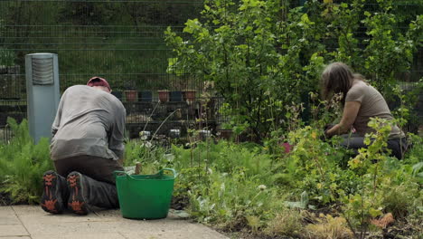 Seasonal-works-in-the-garden