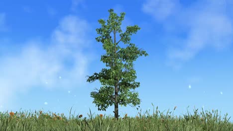 Animierter-Zeitraffer-Schöner-Blauer-Himmel-über-Einzelnem-Baum-Mit-Wolken-In-Bewegung
