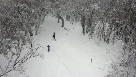 Tracking-Winterantenne-Folgt-Langläufern-Auf-Bewaldeten-Bergpfaden