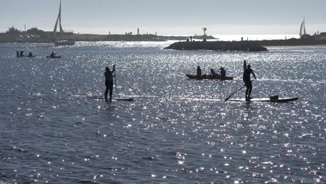 Menschen-Auf-Paddelbrettern-Und-Kajaks-Im-Hafen-Von-Moss-Landing-In-Monterey-County,-Kalifornien