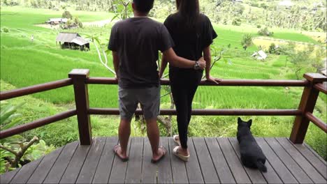Ehemann-Und-Ehefrau-Und-Ein-Hund-Genießen-Die-Schönheit-Von-Reisfeldern-Und-Hügeln-Von-Einer-Villa,-Karangasem,-Bali,-13.-Oktober-2021