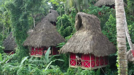 Gente-Relajándose-En-El-Pueblo-De-La-Casa-Del-árbol-Inmerso-En-Una-Exuberante-Vegetación,-República-Dominicana