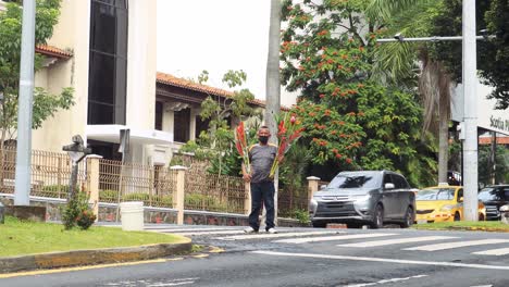 A-flower-seller-in-grey-t-shirt-standing-with-flowers-in-the-road-of-Spain-Avenue-with-cars-passing-by-in-Panama-City,-Panama