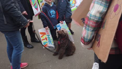 Primer-Plano-De-Un-Perro-Rodeado-De-Niños-En-Un-Mitin-Sobre-El-Cambio-Climático