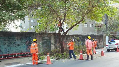 Arbeiter-Beschneiden-Einen-Baum-In-Einer-Städtischen-Straße,-Damit-Er-Keine-Schäden-An-Luftenergie-Und-Kommunikationskabeln-Verursacht