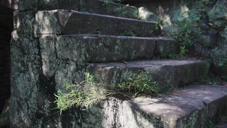 Ruins-of-stone-steps-on-Tomogashima-Island,-Wakayama-Japan