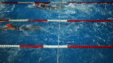 Männliche-Schwimmer-Im-Schwimmwettbewerbstraining,-Luftdrohnen-draufsicht-tracking